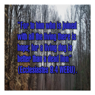 Prediger 9:4 WEBU Poster