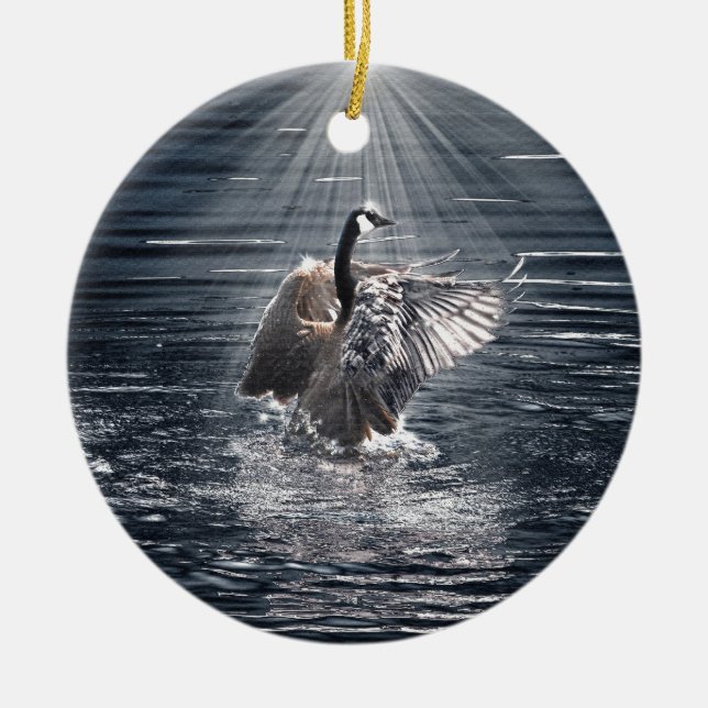 Preening, Flapping Canada Goose Foto Keramik Ornament (Vorne)
