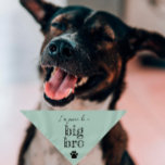 Pregnancy Announcement Pet Bandana | Big Bro Mint Halstuch<br><div class="desc">Small or large,  this pet bandana can be used for dogs or cats. Minimal,  modern,  and customizable with your pet's name. 
What's cuter than announcing a pregnancy than with your fur child 🥰
All text is customizable ↣ just click the ‘Personalize’ button.</div>
