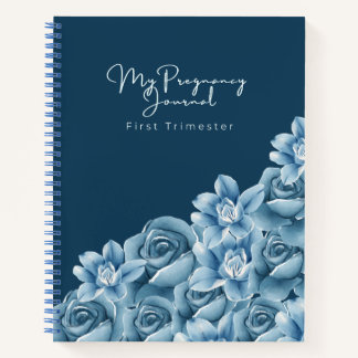 Pregnancy Journal | Faith-Filled First Trimester