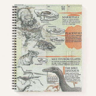 Prehistoric Notebook Notizbuch