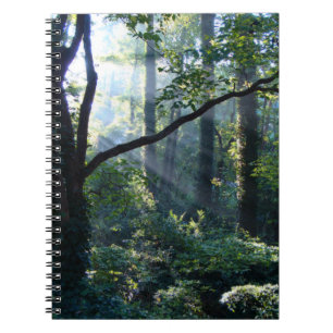 Premier Carnet lumineux