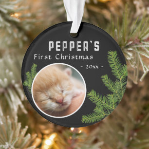 Premier Kitten Chat de Noël en sapin 2 Photo Souve