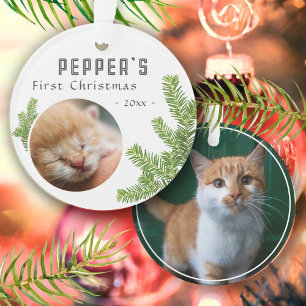 Premier Kitten Chat Sapin de Noël 2 Photo Souvenir