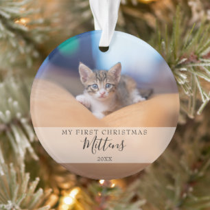 Premier Noël Chat Chien Animal de Compagnie Photo 