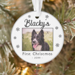 Premier Noël Chiot Nom Snowflakes Photo