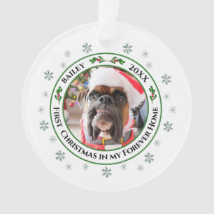 Premier Noël Dans Mon Ancien Foyer Animaux De Comp