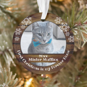 Premier Noël dans mon Forever Home Chat chien anim