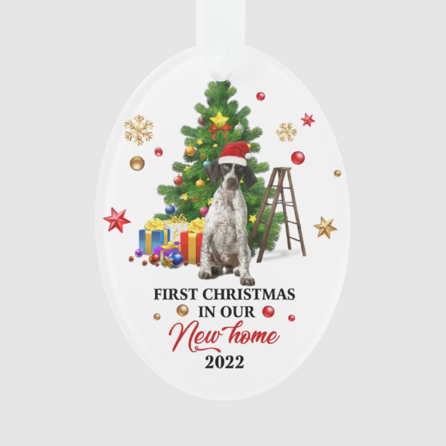 Premier Noël dans notre nouvelle maison 2022 | Cad (devant)