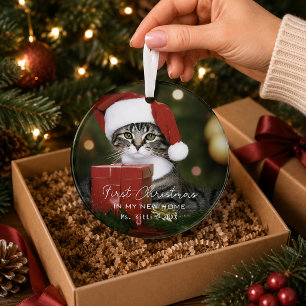 Premier Noël de chat dans une nouvelle maison Orne