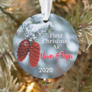 Premier Noël de Nana et Papa Nouveaux grands-paren