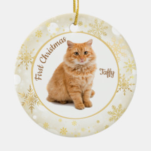 Premier ornement de Noël pour chat