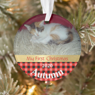 Premier ornement photo de Noël de Kitten