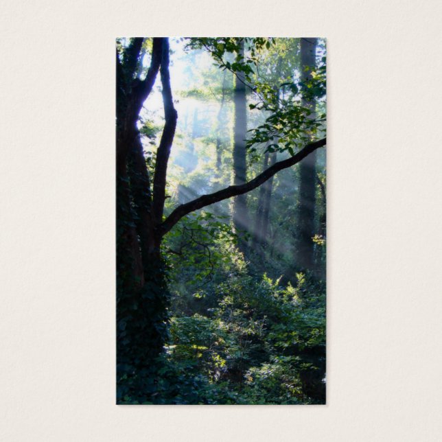 Premier Signet (Devant)