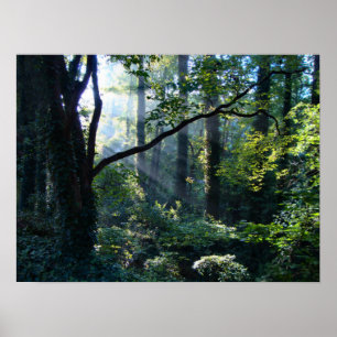 Première impression