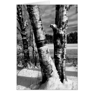 Première neige 2007