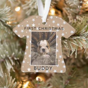 Première photo de chiot de Noël à motif étoile