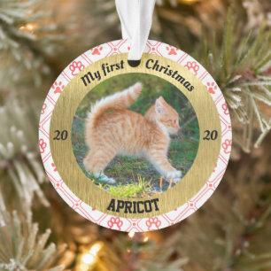 Première photo de Noël de Kitten personnalisé