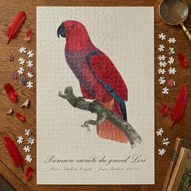 Premiere variete du grand Lori / Eclectus parrot (Vosmaer Eclectus Parrot, Eclectus Roratus Vosmaeri. Jigsaw Puzzle)