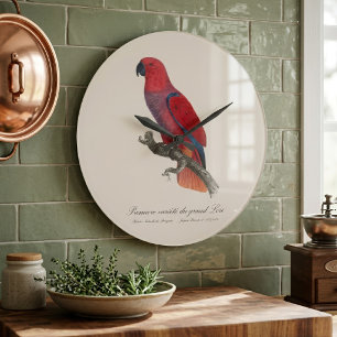 Premiere variete du grand Lori / Eclectus parrot Große Wanduhr