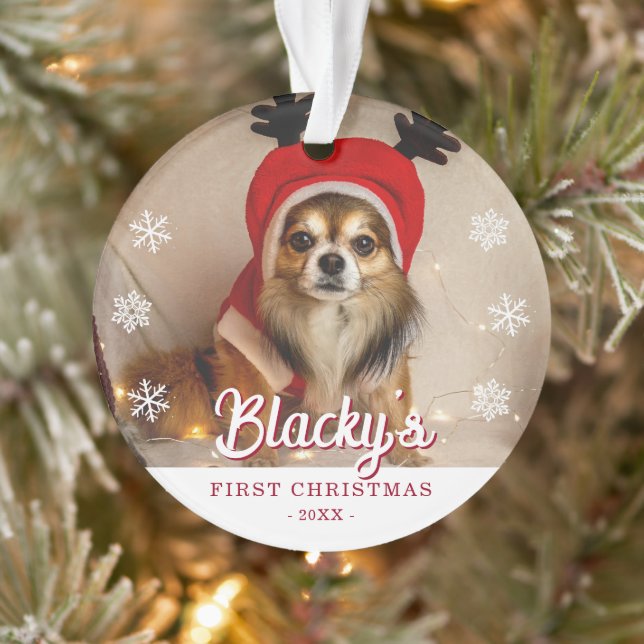 Premières photos de Noël Puppy (Arbre)