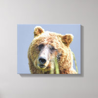 Premium gepolsterte Canvas 11x14 aus Grizzlybär
