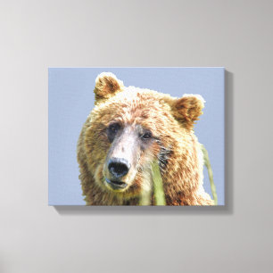 Premium gepolsterte Canvas 11x14 aus Grizzlybär Leinwanddruck