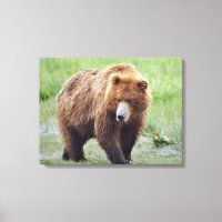 Premium gepolsterte Canvas 24x18 aus Grizzlybär