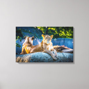 Premium-Leinwand in Giclee Leinwanddruck