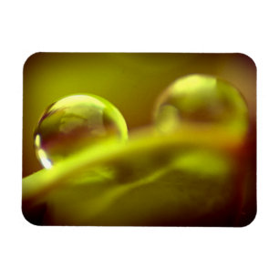 Premium-Magnet für Wassertropfen Magnet