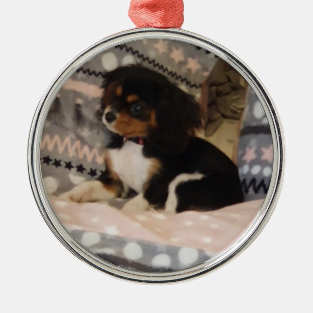 Premium Round Ornament (Vorne)