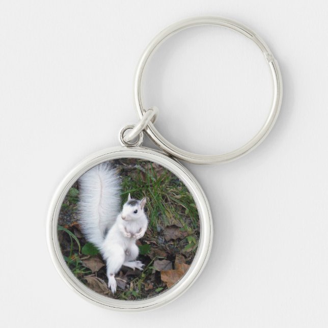 Premium-Schlüsselkette - Weißes Eichhörnchen Schlüsselanhänger (Vorne)