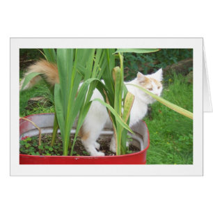 PRENEZ LE TEMPS DE JOUER C'EST "VOTRE ANNIVERSAIRE