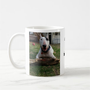 Prenez une certaine tasse de Rex de temps