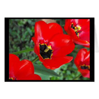 Préparez ainsi pour Spring~1