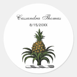Preppy heraldisches Ananas-Wappen-Farbe-GEWICHT Runder Aufkleber
