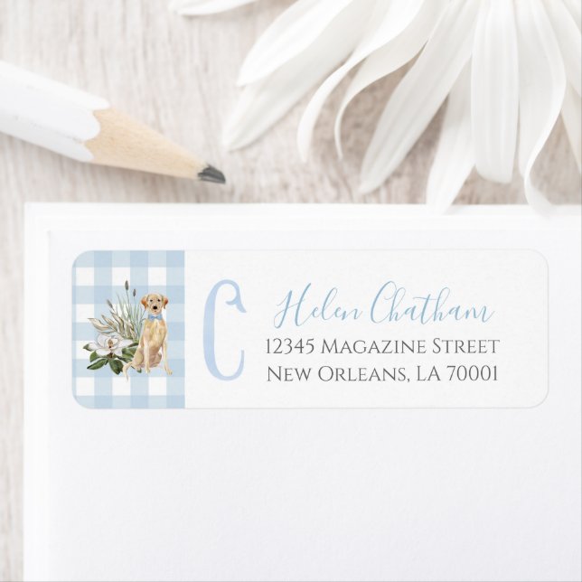 Preppy Southern Blue Boy Dog Baby Dusche (Insitu)