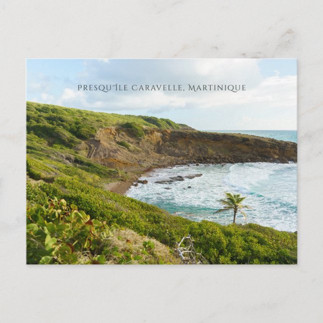 Presqu'île de la Caravelle Martinique travel Postkarte (Vorderseite)