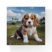 Presse-papier personnalisé Beagle mignon