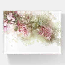 Aquarelle Lavande violette Jasmine