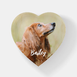 Presse-papiers Custom Pet Photo Personalized