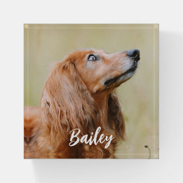 Presse-papiers Custom Pet Photo Personalized