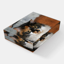 MeMeow Calico Cat