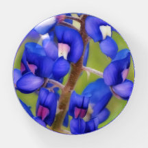 Papier à fleurs bleu du Texas Bluebonnet