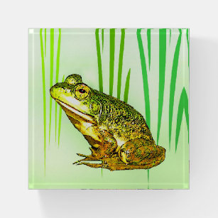 Presse-papiers Princesse Charming Frog Glass Paperweight