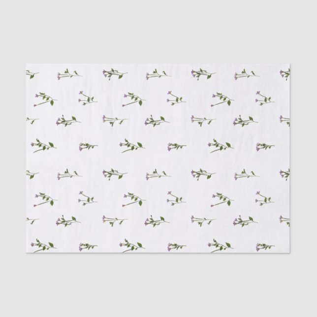 PRESSED BLUME - Chickweed Willoworb - offen Seidenpapier (Vorderseite)