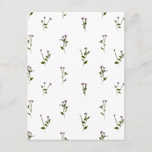 PRESSED FLOWERS - Chickweed Willowherb - Open Postkarte