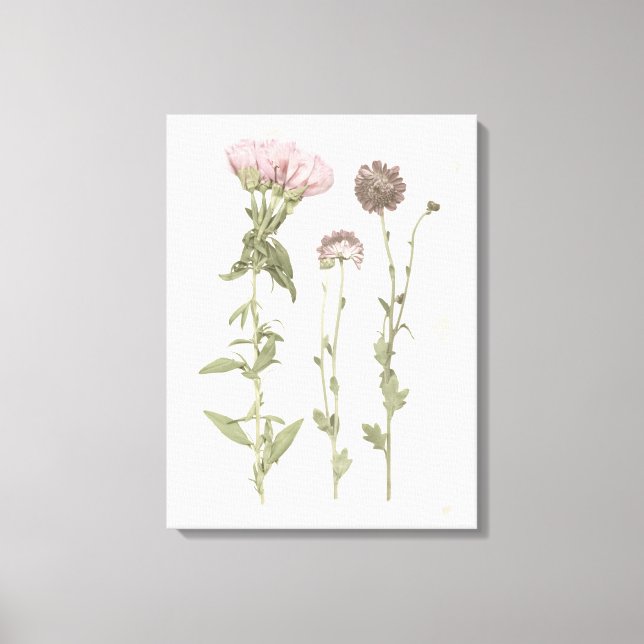 Prestige Blüten - Rosa Leinwanddruck (Vorderseite)