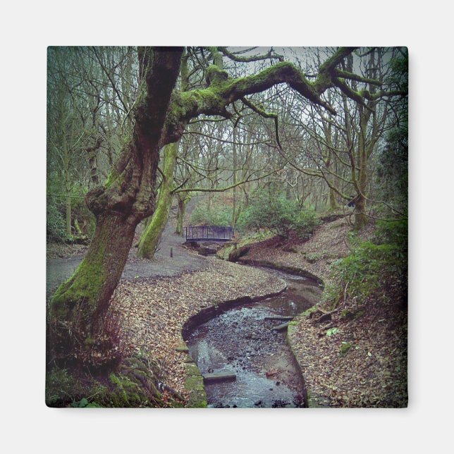 Prestwich Clough Magnet (Vorne)