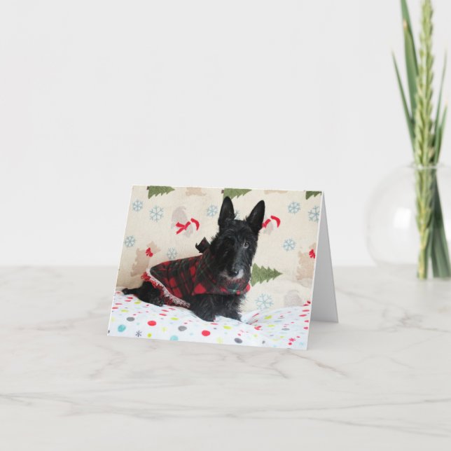 Prêt pour la carte de Noël (avec texte) (Devant)